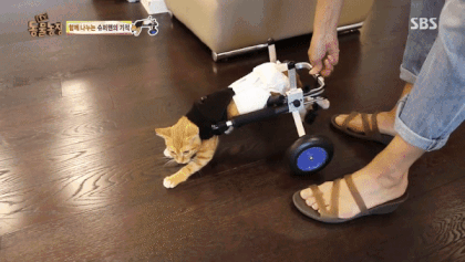 25cf9c2e391212f3ba3691024ebcc6289f91c9c3