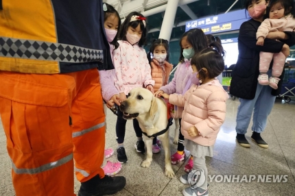 튀르키예 지진 현장 떠나는 수색견 | 인스티즈