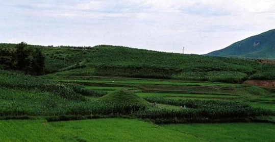 아직도 드라마로 안만들어진게 다들 신기하다고 말하는 왕 | 인스티즈