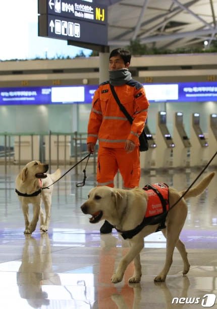 튀르키예 지진 현장 떠나는 수색견 | 인스티즈