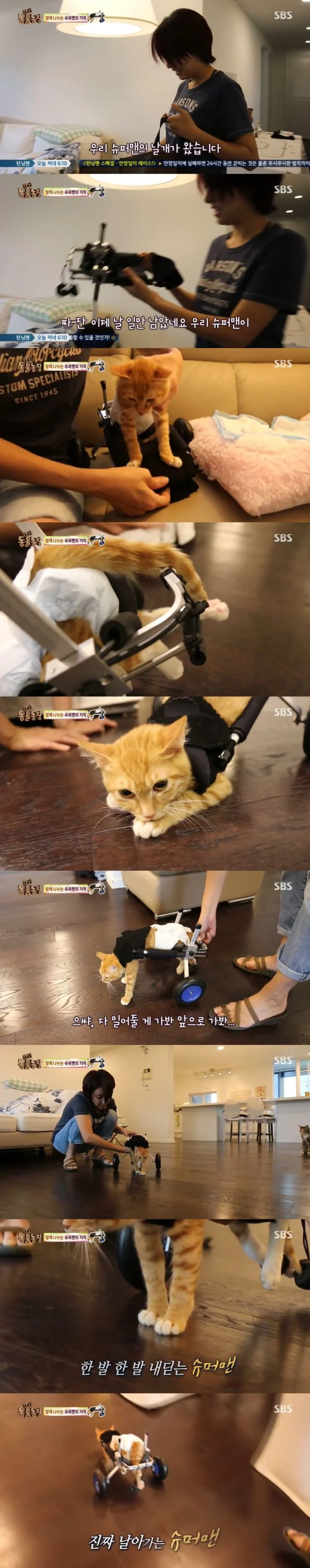 4174f6701d5465ba8a71387fde8c2387350ae760