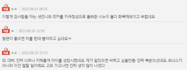 시누이에게 보너스를 어느 정도 주는 게 좋을까요? | 인스티즈
