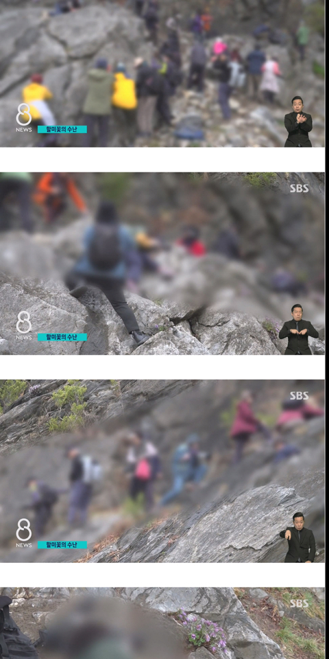 사진작가들이 사진 찍고 피사체를 훼손하는 이유 | 인스티즈