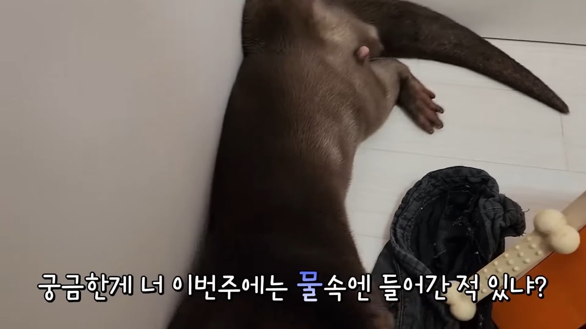 카페다름 이미지