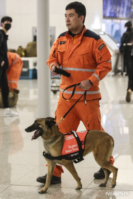 튀르키예 지진 현장 떠나는 수색견 | 인스티즈