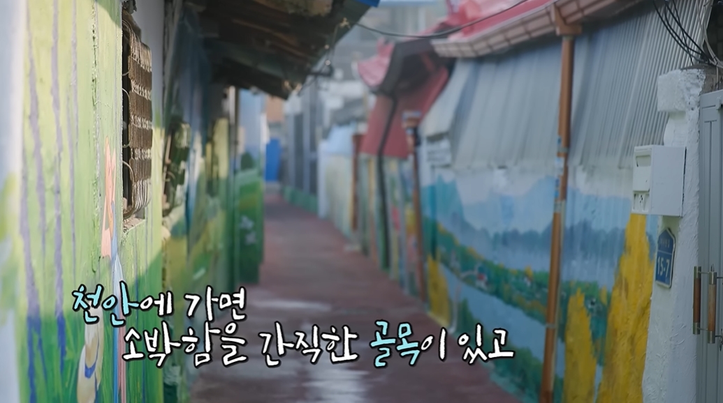 천안에서 백종원 닮았다 소리 들은 백종원 | 인스티즈