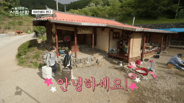 [슬기로운산촌생활] 게스트 차별 하는 집주인들.gif | 인스티즈