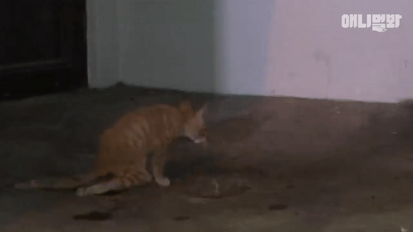 7b5a638c83d815af4ee942c8f1338b74a77aa824