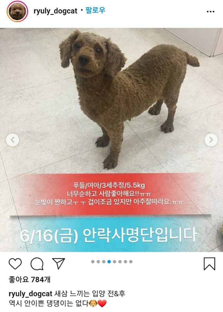포인핸드 이미지