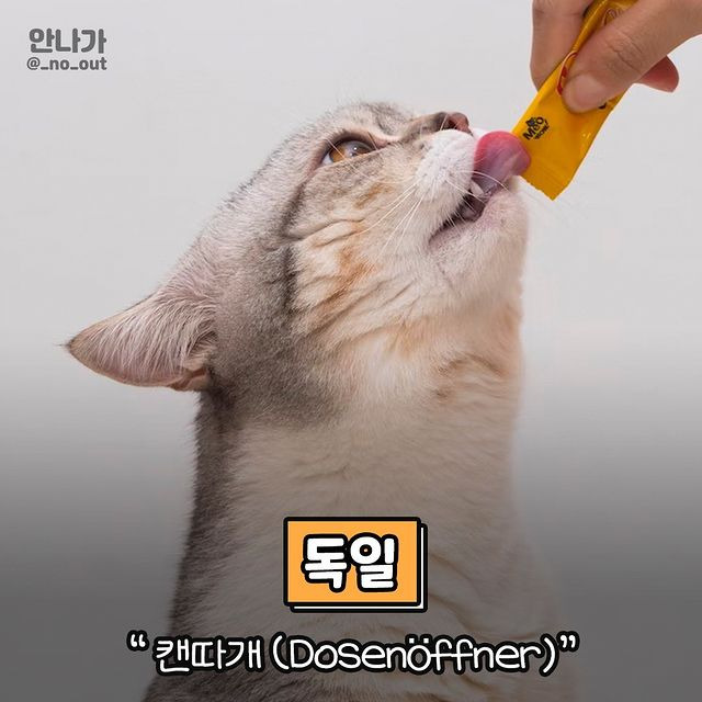 나라마다 고양이 집사를 부르는 말.jpg - 동네마당 - 소주담(談) : 소소한 주민들의 이야기 나라마다 고양이 집사를 부르는 말.jpg