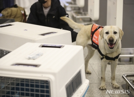 튀르키예 지진 현장 떠나는 수색견 | 인스티즈