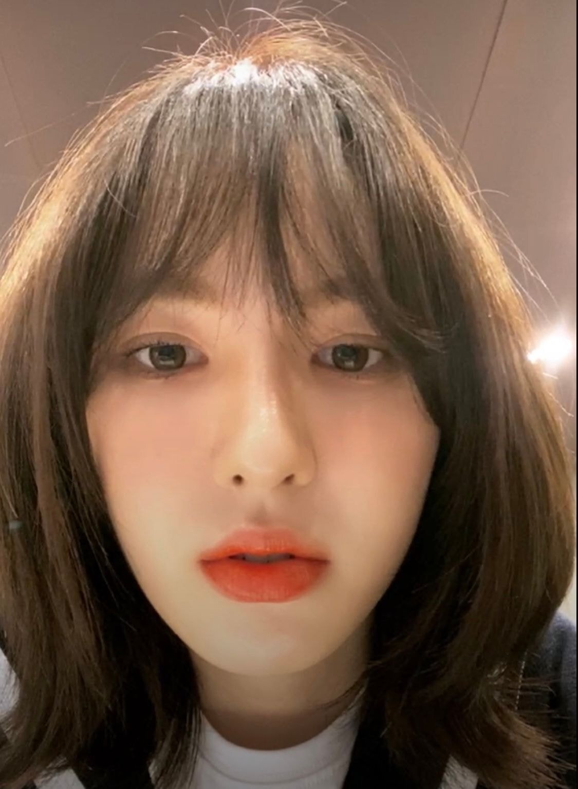 헤어라이브 이미지