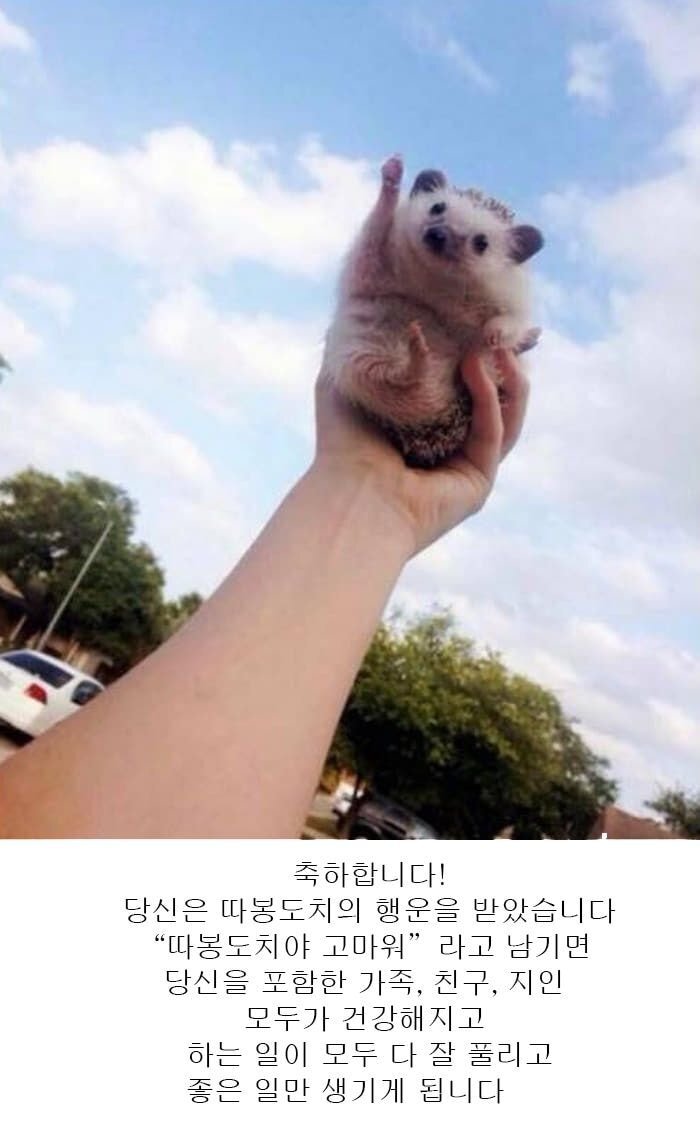 따봉 이미지