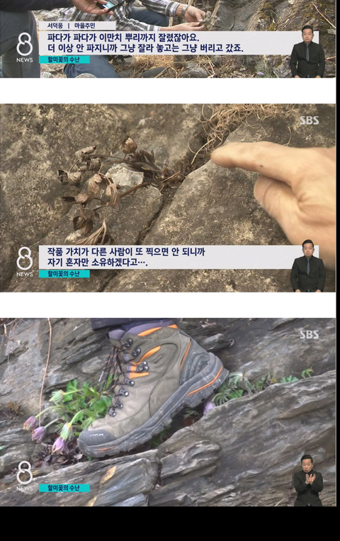 사진작가들이 사진 찍고 피사체를 훼손하는 이유 | 인스티즈