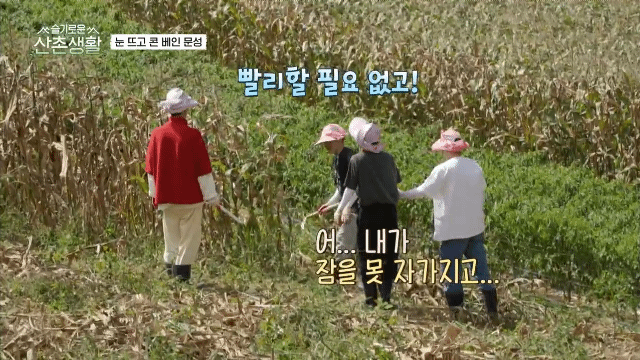 [슬기로운산촌생활] 게스트 차별 하는 집주인들.gif | 인스티즈