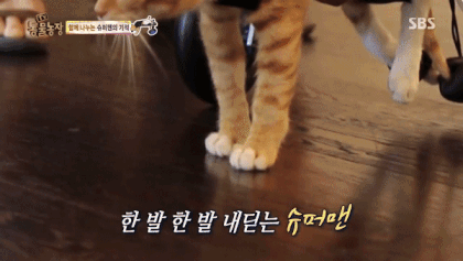 d22a751a2eb826e0adcdde96f4bb68c2ed0f9057