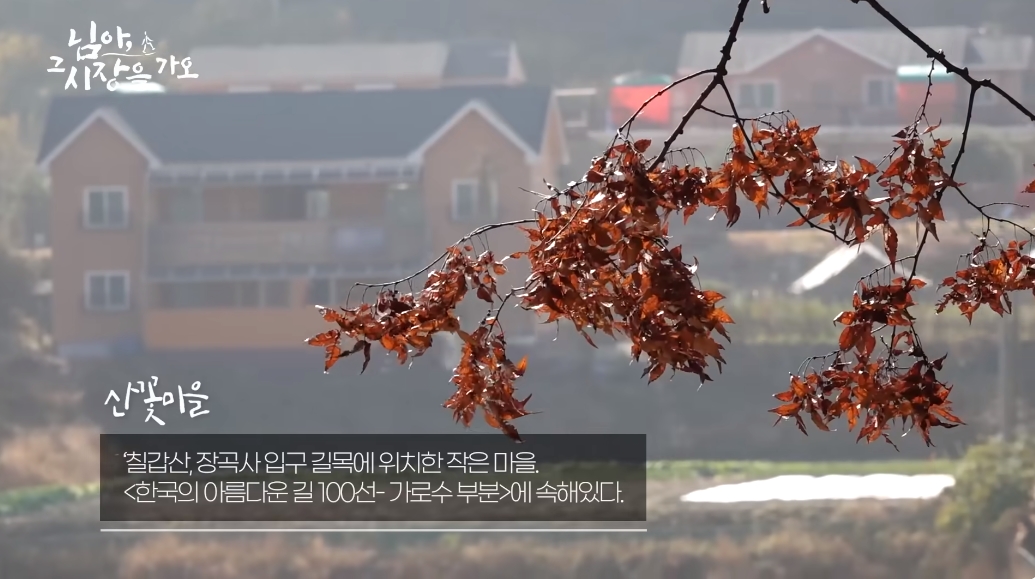 백종원이 서울 데려가고 싶다고 한 순두부가게 - Soul Lounge - 소울드레서 (SoulDresser) 소울드레서 (SoulDresser)