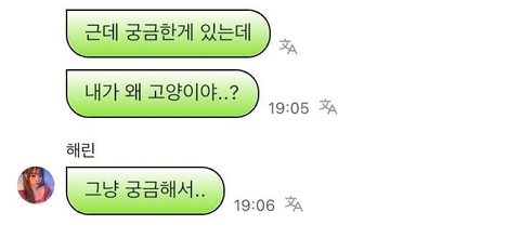 본인이 왜 고양이인지 모르는 뉴진스 해린 | 인스티즈