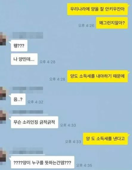 우리나라에서 양을 잘 키우지 않는 이유가 뭔지 알아? | 인스티즈