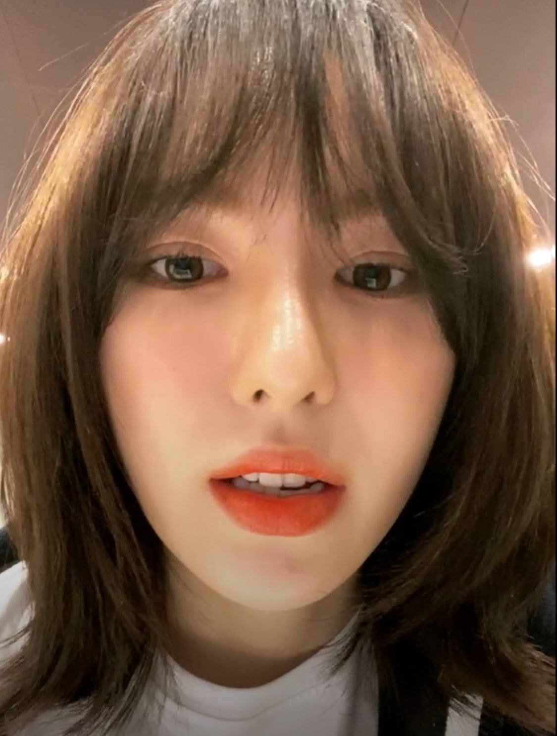 헤어라이브 이미지