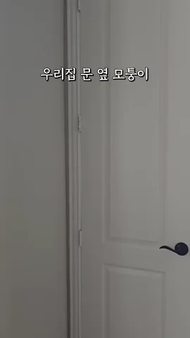 트리없이 만드는 크리스마스 트리(feat. 다이소) | 인스티즈