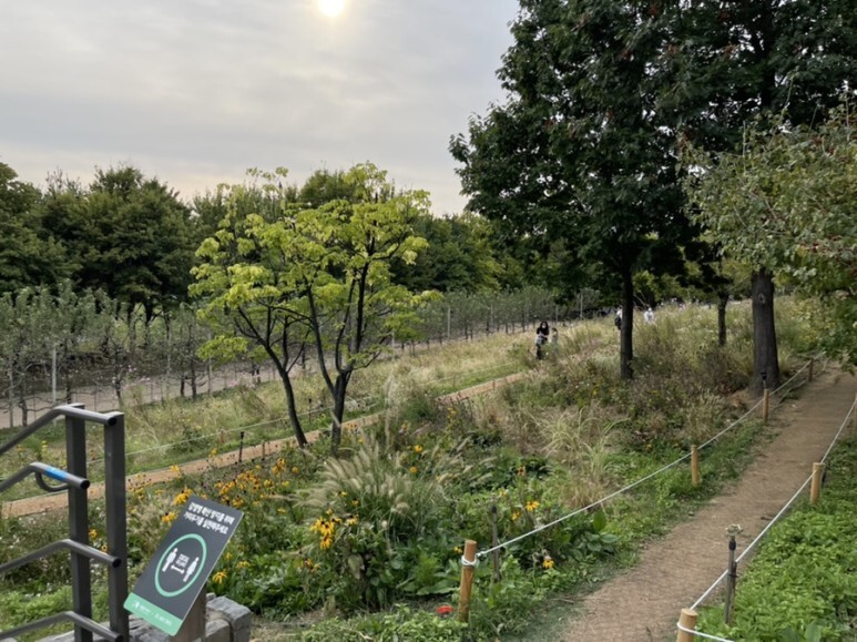 eb1f1eca125cd958762c92baf53e55bb7553a1e7