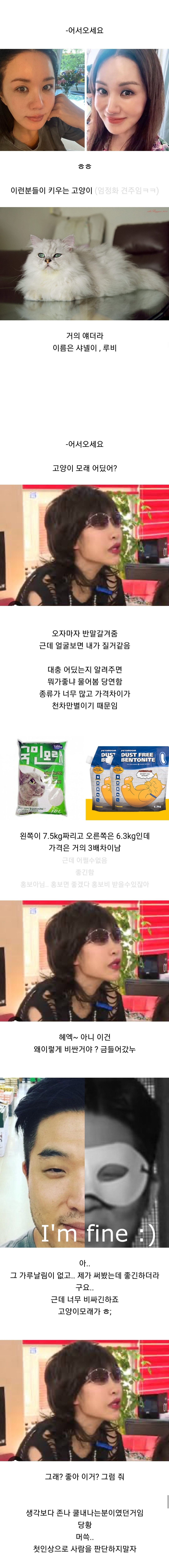 반려묘 용품샵에서 일하는 직원이 본 고양이 용품 사가는 손님들 관상 | 인스티즈