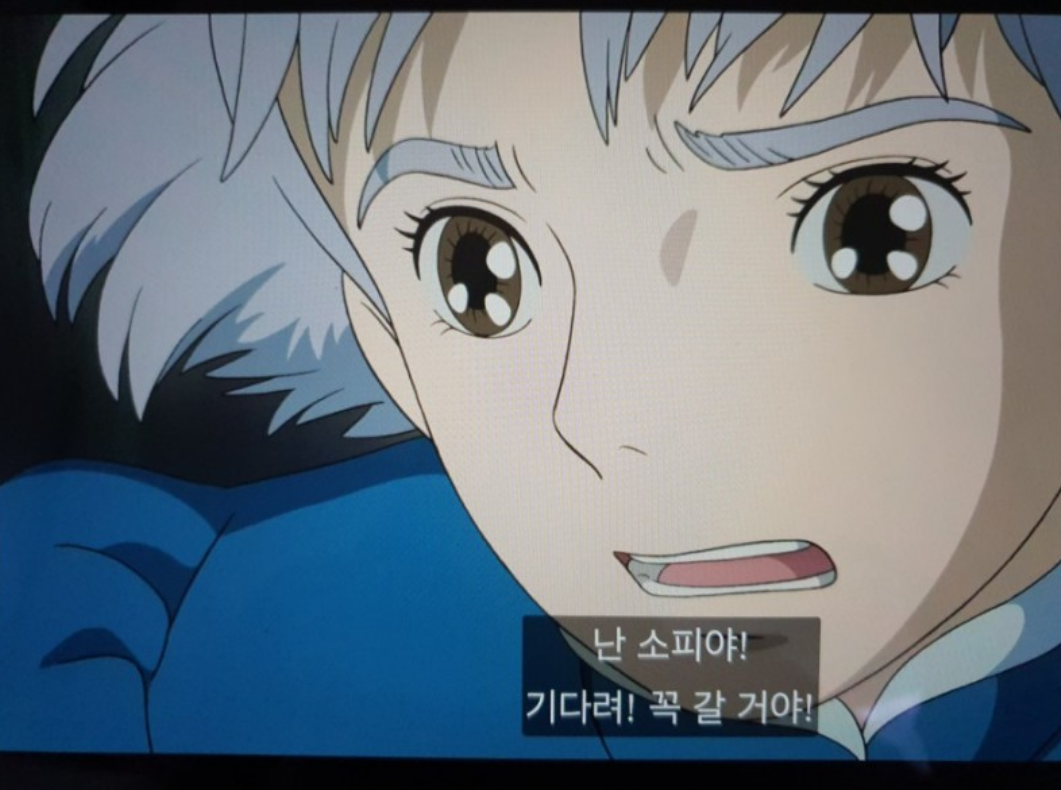 영화 하울의 움직이는 성을 타임라인 순서대로 간단 정리.jpg (영화 아직 안봤다면 당연 스포) | 인스티즈