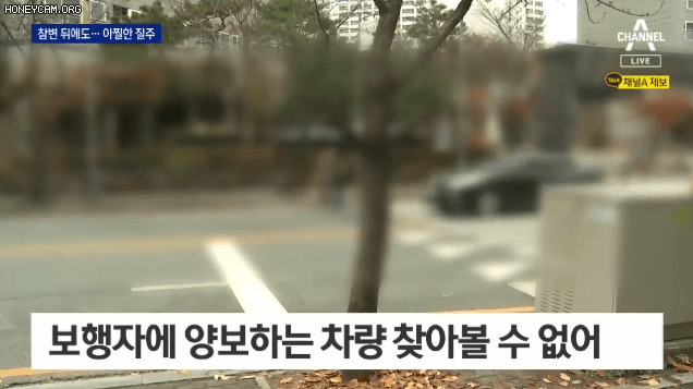 2살 아기 사망사고가 난 바로 다음날 사고 장소 횡단보도 상황...gif | 인스티즈