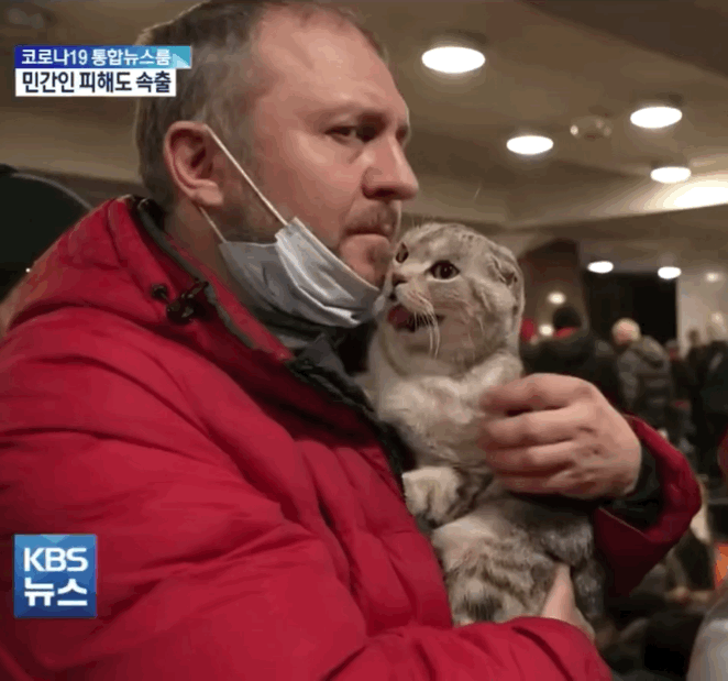 지하철로 대피한 우크라이나 시민과 고양이.gif | 인스티즈