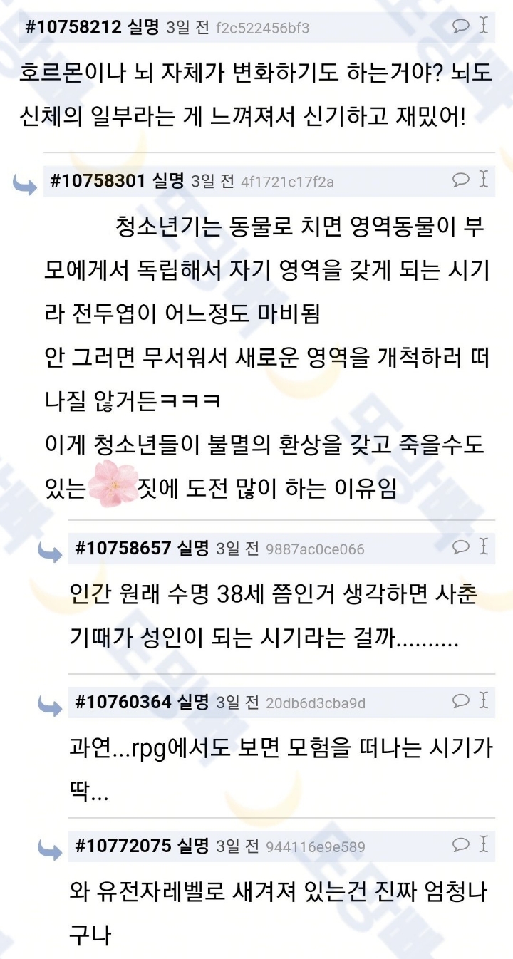 왜 청소년은 중2병에 걸려서 이상한 행동을 하는가? | 인스티즈