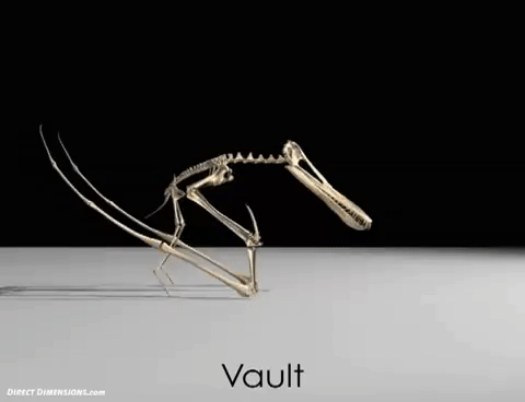 최근 과학자들이 생각하는 거대한 익룡이 나는법 추측.jpgif | 인스티즈