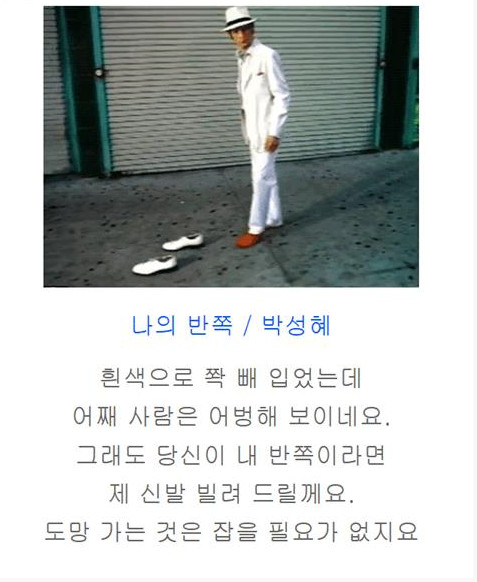 시사진 이미지