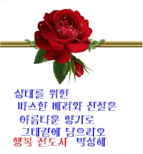 시사진 이미지