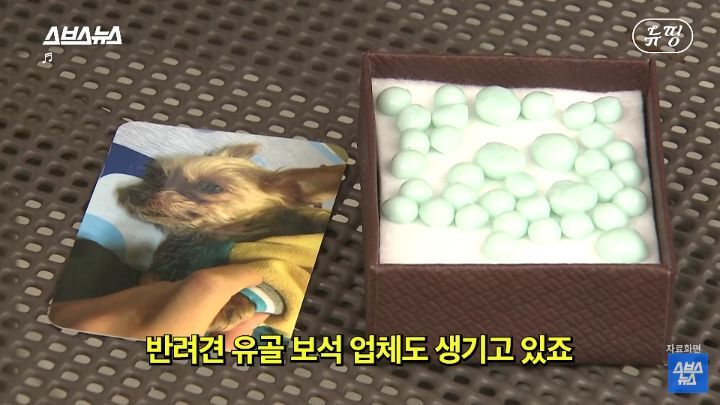 사랑하는 이의 유골로 목걸이를 만든 사람들 | 인스티즈