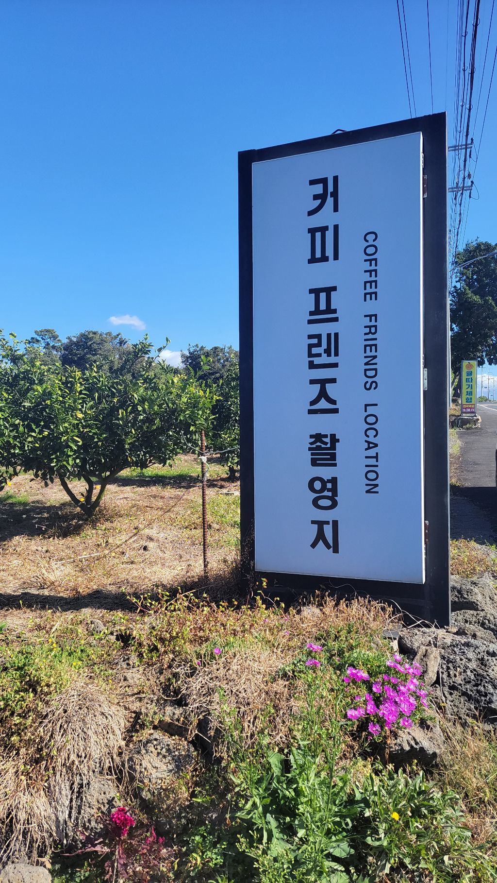 커피프렌즈촬영지 이미지