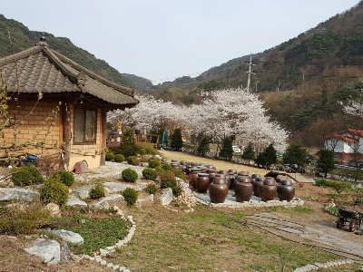 천둥소리 이미지