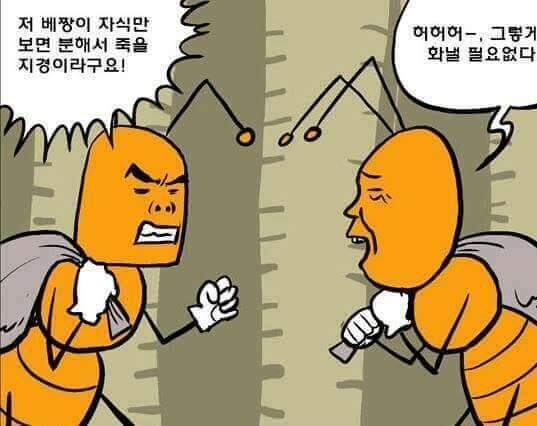 개미와배짱이 이미지