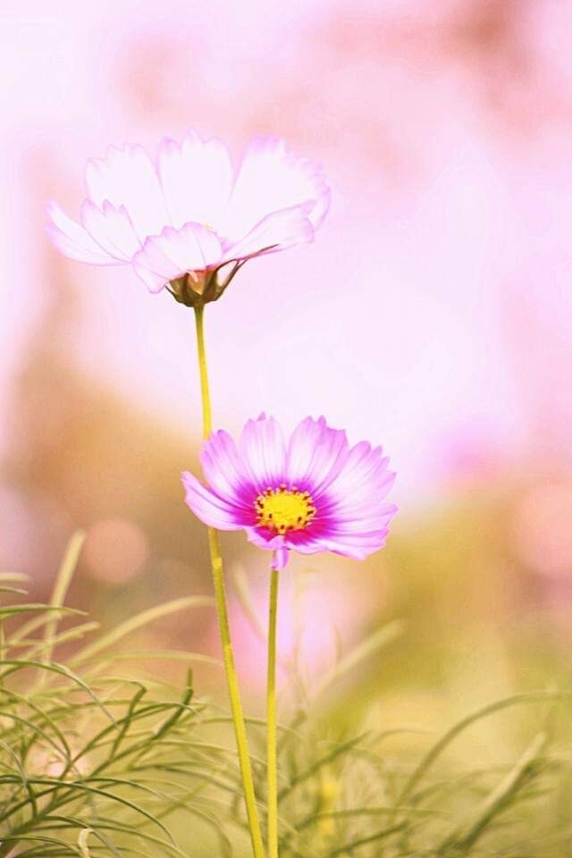 물다방 이미지