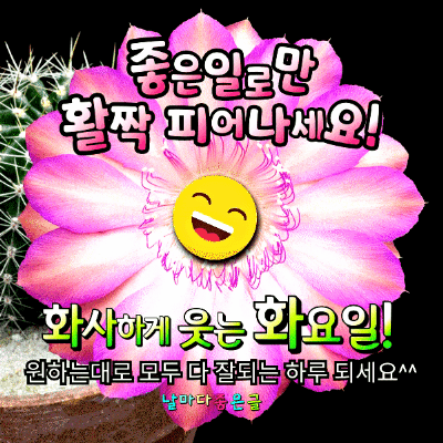 시크릿스토리 이미지