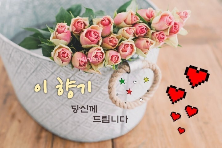 띵똥 이미지