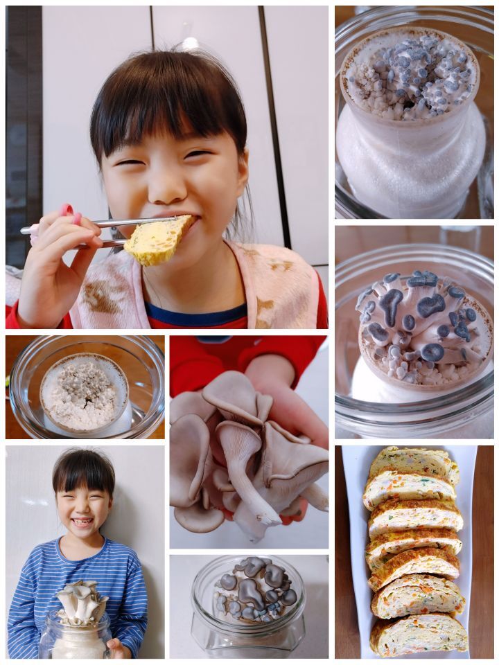 나경이네 이미지