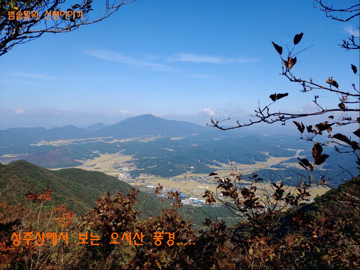 수림소방 이미지