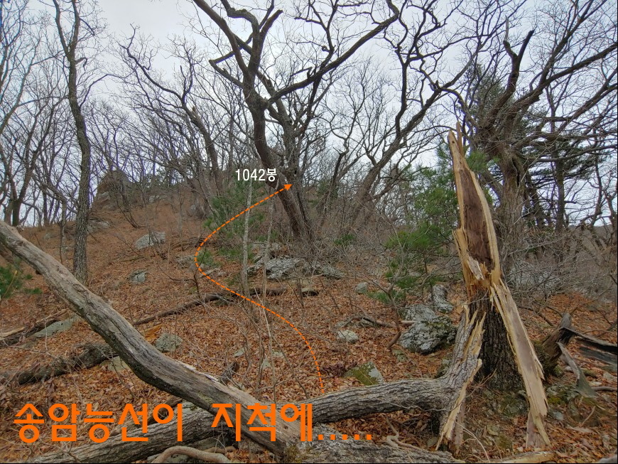 설악산유스호스텔 이미지