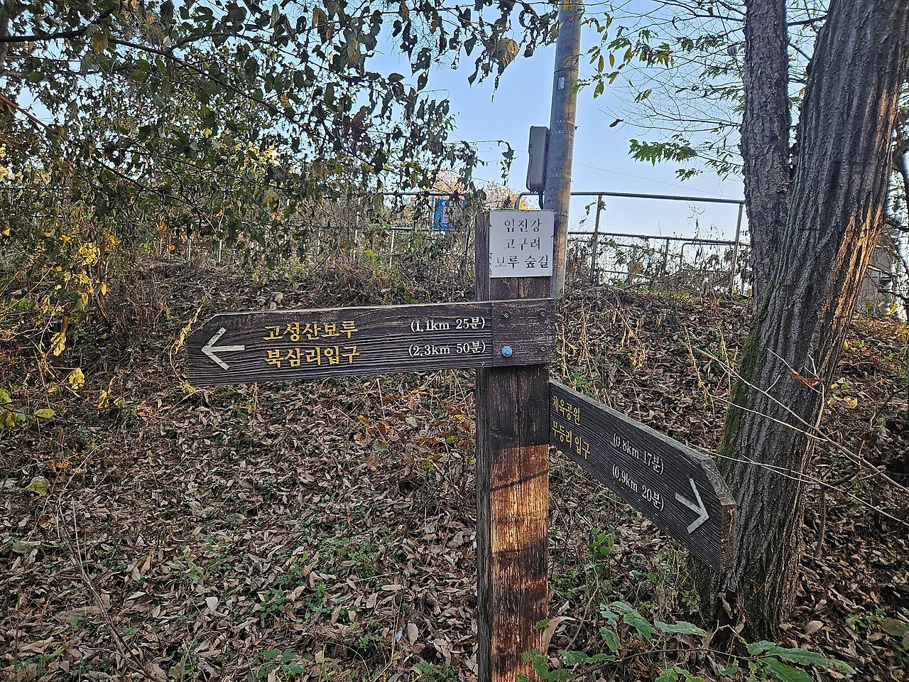 고성산 조망 이미지