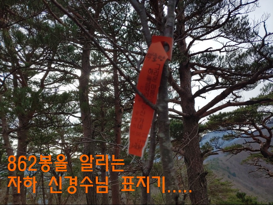 설악산유스호스텔 이미지
