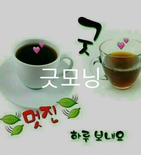 두니두 이미지