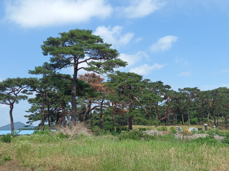 수명당 이미지