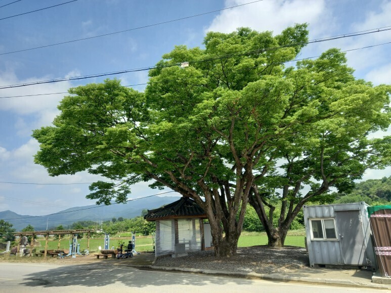 수명당 이미지