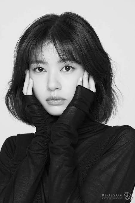 쏨 이미지